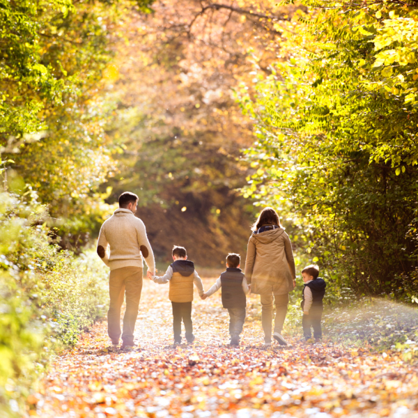 Vater, Mutter und drei Kinder spazieren durch einen herbstlich-anmutenden Wald. Blätter liegen auf dem Boden, die Sonne färbt die Blätter bunt.