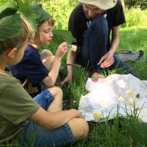 Ein Erwachsener hockt im Gras. Um ihn herum sitzen zwei Kinder, die neugierig Blätter und Insekten betrachten.