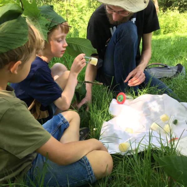 Ein Erwachsener hockt im Gras. Um ihn herum sitzen zwei Kinder, die neugierig Blätter und Insekten betrachten.
